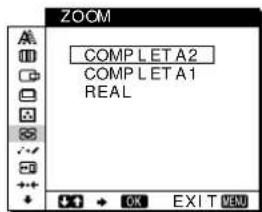 SONY SDMN80 - ZOOM (pagina 16) - 1