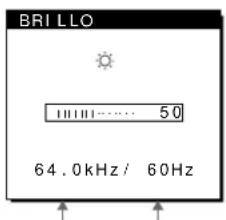 SONY SDMN80 - Toque la tecla (brillo). - 1