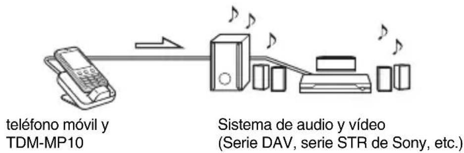 SONY TDMMP10 - Descripción general - 1