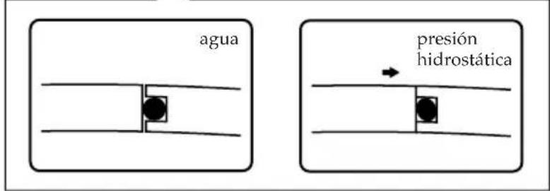 SONY MPKDVF7 - Forma de impermeabilizar de la junta tórica - 2