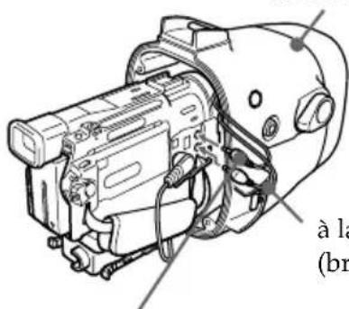 SONY MPKDVF3 - Pour les modèles DCR-TRV9E/TRV10E/TRV20E/TRV900E - 1