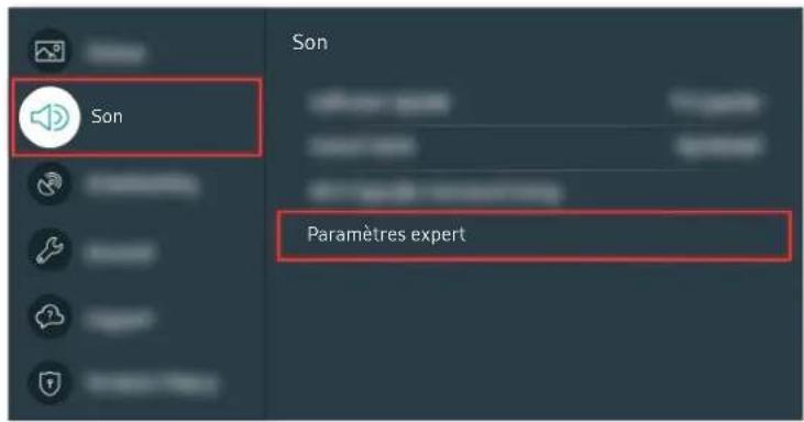 SAMSUNG QA43LS01TBU - Lorsque le téléviseur est muet ou déforme le son - 12