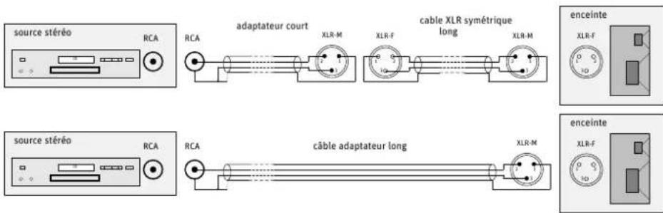 NEUMANN KMS 104 - Raccorder les signaux analogiques à l'enceinte - 2
