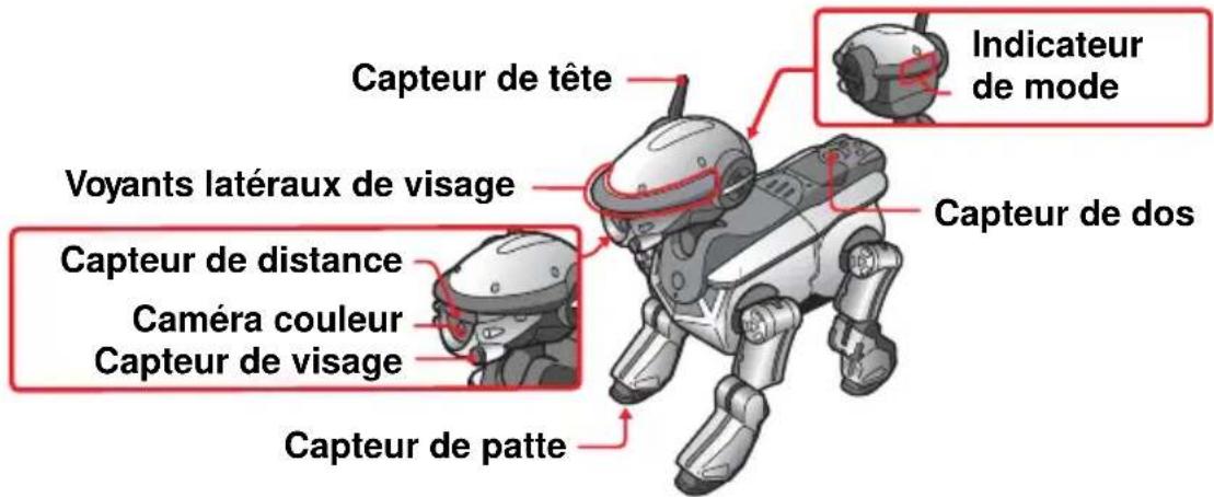 SONY ERS220 - Passage d'aibo en mode clinique - 2