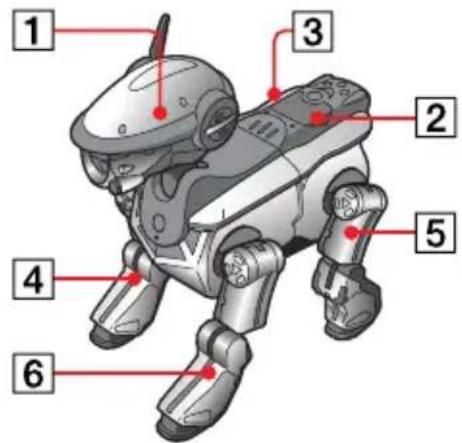SONY ERS220 - Assemblage d'aibo - 1