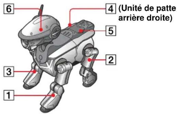 SONY ERS220 - Retirez les unités de tête, queue et pattes en insérant la goupille de libération fournie dans les trous de libération. - 3
