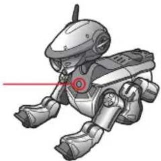 SONY ERS220 - Pausetaste - 1