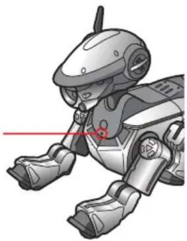 SONY ERS220 - Quand la charge est terminée - 1