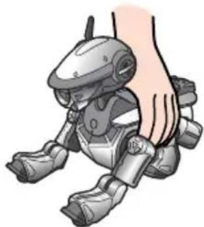 SONY ERS220 - Hinweis - 1