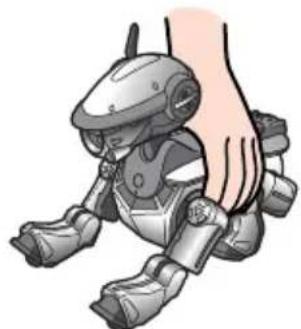 SONY ERS220 - Remarque - 2