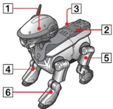 SONY ERS220 - Zusammenbau den AIBO - 1