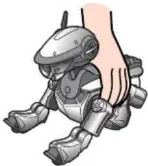 SONY ERS220 - Setzen Sie AIBO wie unter gezeigt auf den Boden. - 1