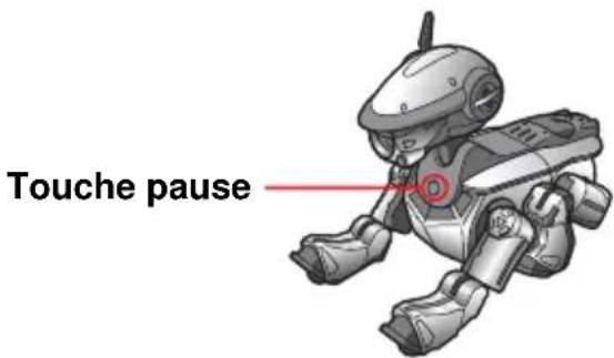 SONY ERS220 - Passage d'aibo en mode clinique - 1