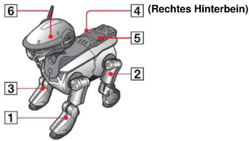SONY ERS220 - Hinweis - 3