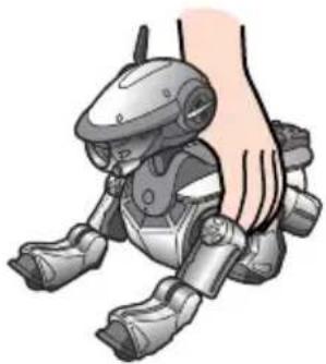 SONY ERS220 - Placez AIBO sur le sol comme indiqué ci-dessous. - 1