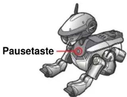 SONY ERS220 - AIBO in den Klinikmodus schalten - 1