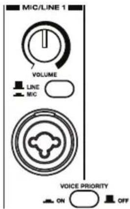ALTO Transport 12 - Utilizzo di microfoni e altre fonti audio - 1