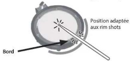 Position adaptée aux rim shots Bord