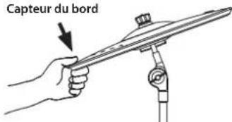Capteur du bord
