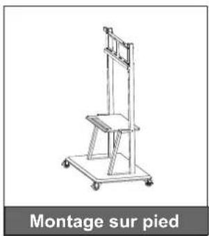 OPTOMA 3651RK - INTRODUCTION - 4