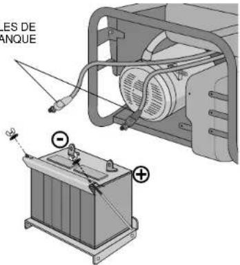 DEWALT DG4300 - ACEITE DEL MOTOR - 2
