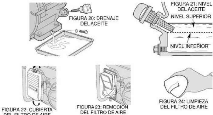 DEWALT DG7000E - CAMBIO DE ACEITE DEL MOTOR - 1