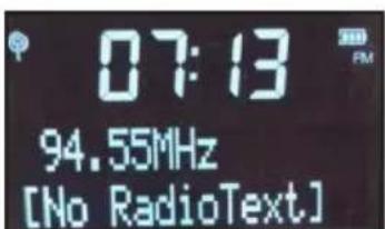 THOMSON WS05 - FM Function (DAB 05 only) - 1