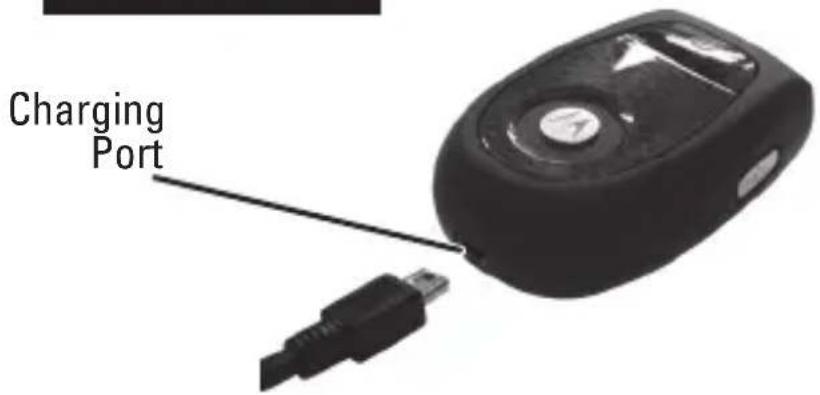 MOTOROLA T305 - MOTOROLA - 2