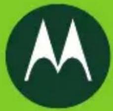 MOTOROLA T305 - 1