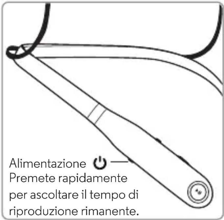 MOTOROLA Moto Surround - Controllo del livello di carica - 1