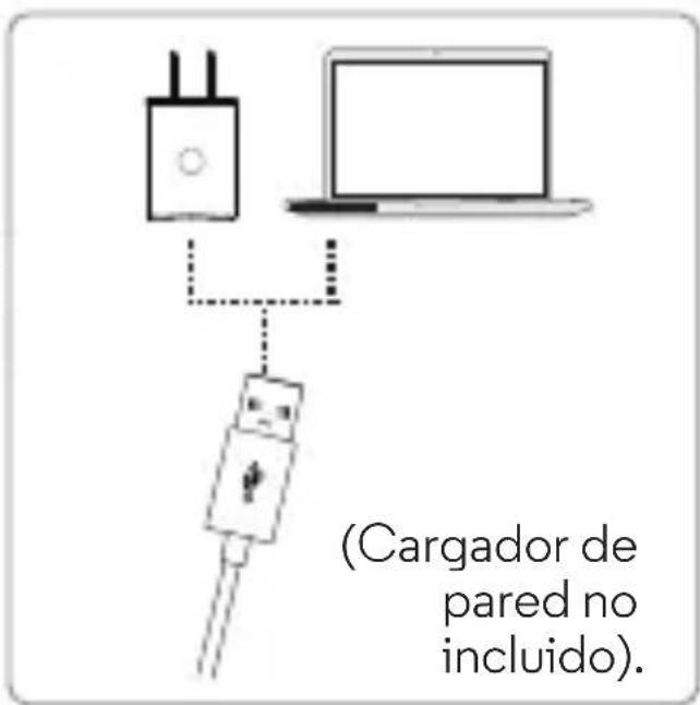 MOTOROLA Moto Surround - Paso 1: Carga y encendido - 2
