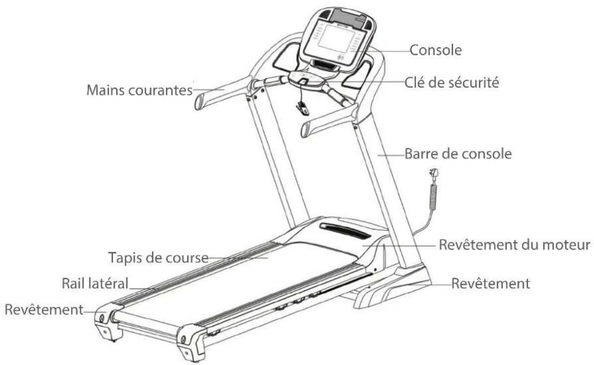 Cardiostrong TX30 - Vue d'ensemble de l'appareil - 1