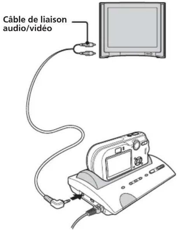Câble de liaison audio/vidéo