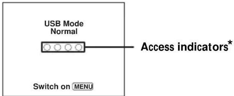 SONY CSSPHA - "USB Mode Normal" appears on the LCD screen of the camera. - 1