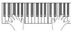 KORG PA300 - Jouez sur le clavier. - 1