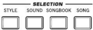 KORG PA300 - Selection - 1