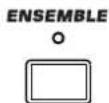 KORG PA300 - Ensemble - 1
