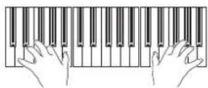 KORG PA300 - Single Touch Settings (STS) - 3