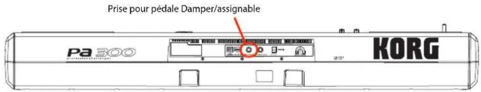 KORG PA300 - Brancher et calibrer une pédale de maintainen (Damper) - 1