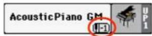 KORG PA300 - UPPER OCTAVE - 1