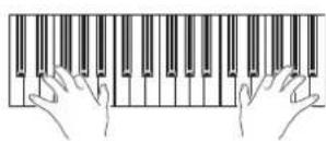 KORG PA300 - Jouez sur le clavier. - 1