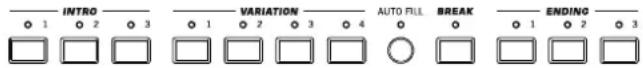 KORG PA300 - Eléments de style - 1