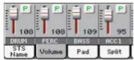 KORG PA300 - Activier/couper les pistes du Style - 5