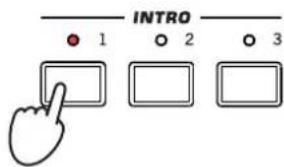 KORG PA300 - (LOCK). - 3