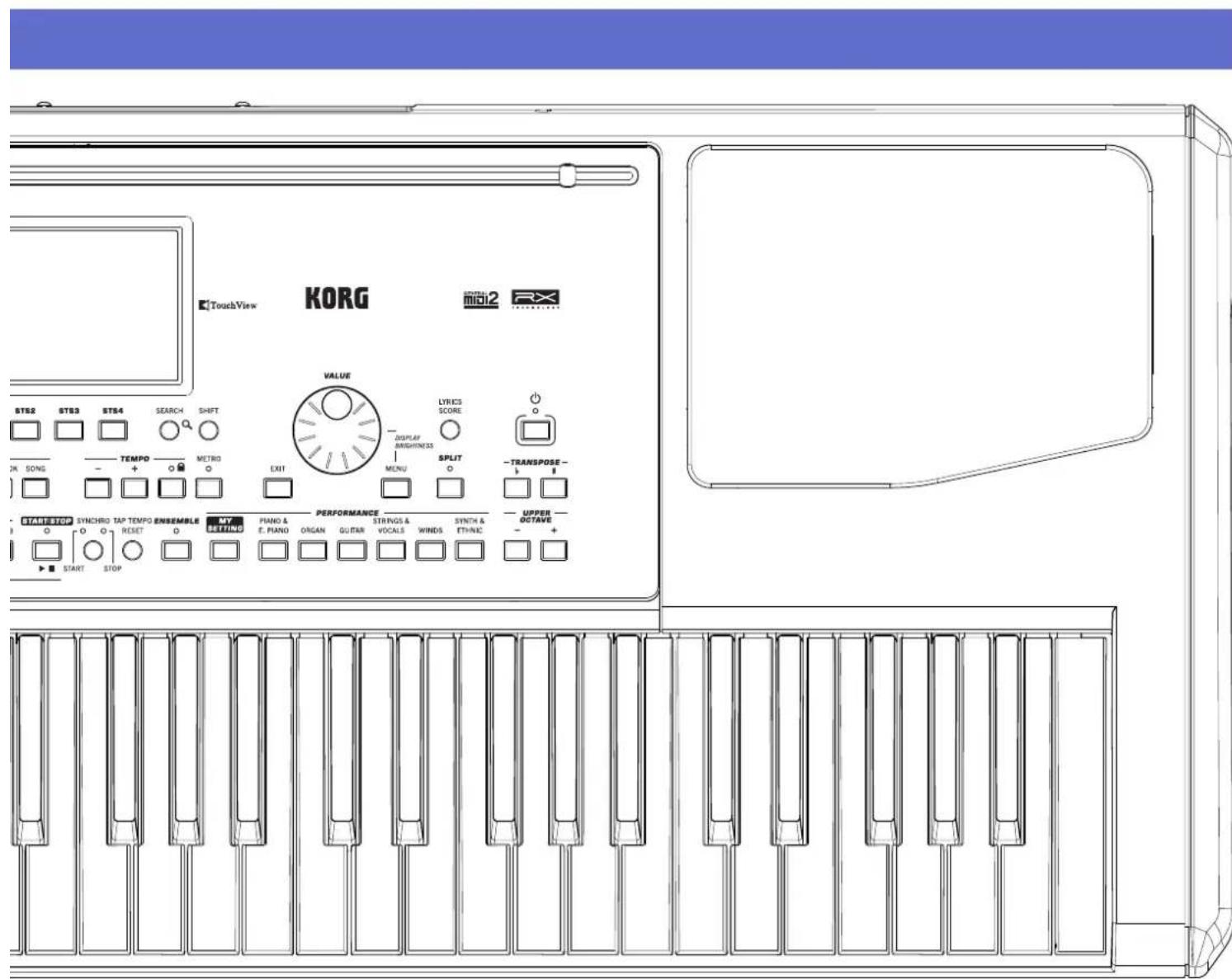KORG PA300 - JOYSTICK - 2