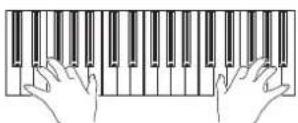 KORG PA300 - Jouez sur le clavier pour écouter le son. - 1