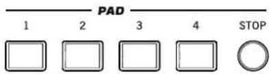 KORG PA300 - Pads - 1