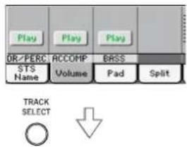 KORG PA300 - Activier/couper les pistes du Style - 4