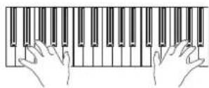 KORG PA300 - (LOCK). - 4