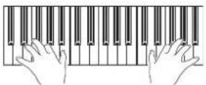 KORG PA300 - Jouez sur le clavier. - 1